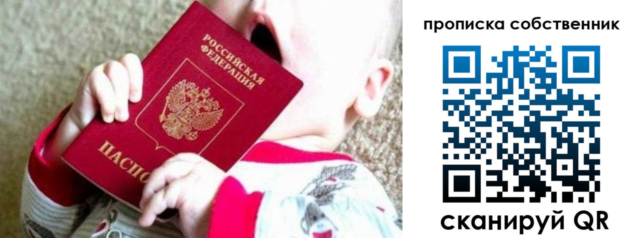 прописка для школы в Зверево